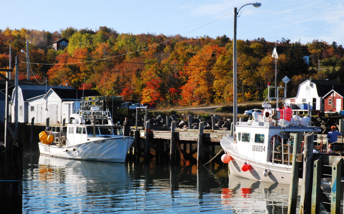 Nautical Seafoods Ltd.